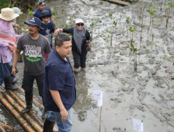 Wali Kota Munafri Tekankan Manfaat Mangrove untuk Lingkungan dan Ekonomi