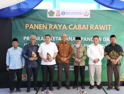 Pemkot Makassar Hadirkan Ketahanan Pangan dan Kemandirian Ekonomi Lewat Urban Farming