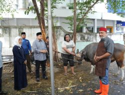 Wali Kota Munafri dan Wawali Aliyah Saksikan Penyembelihan Hewan Kurban Pemkot Makassar