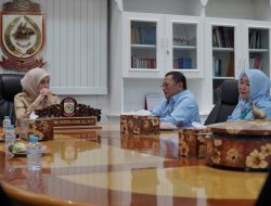 Aliyah Mustika Ilham Terima Audiensi BBPK Kemenkes, Siap Perkuat Sinergi Pengembangan SDM Kesehatan