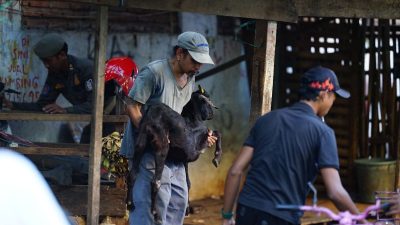 Berdiri 48 Tahun, Lapak PKL di Jalan Lamuru Akhirnya Ditertibkan Pemkot Makassar