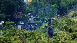 Waspada Cuaca Ekstrem, 102 Pohon Tumbang di Makassar Sepanjang Januari 2026